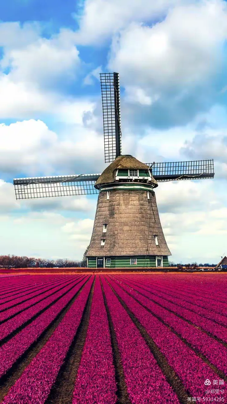 水之国——荷兰